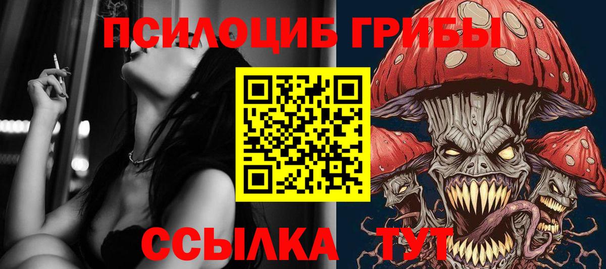 Галлюциногенные грибы Psilocybe Геленджик